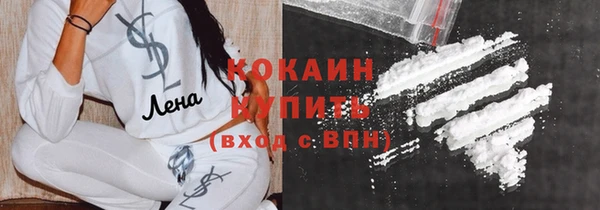 стаф Алзамай
