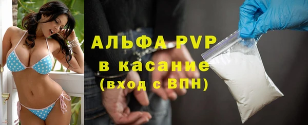 сатива Алексеевка