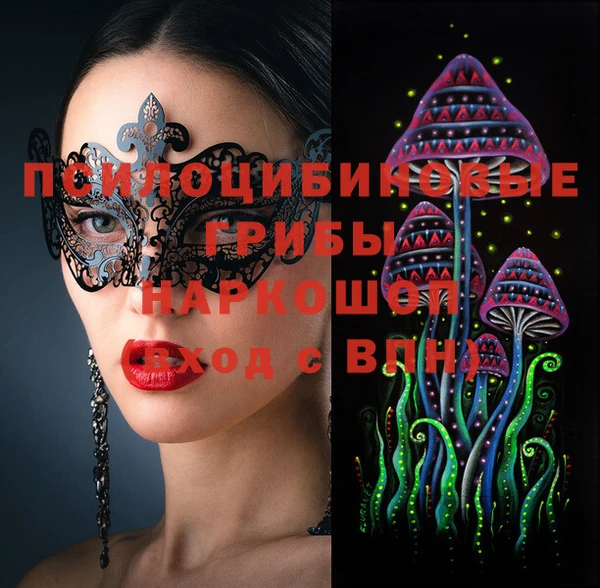сатива Алексеевка