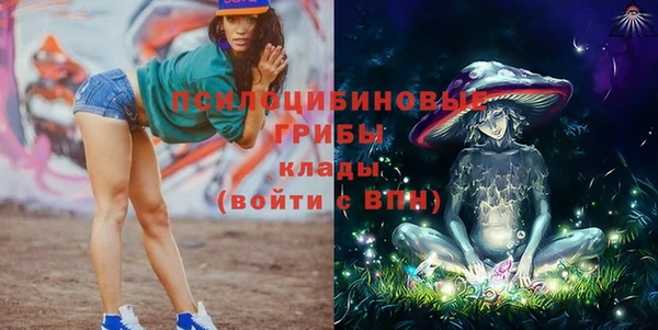 сатива Алексеевка