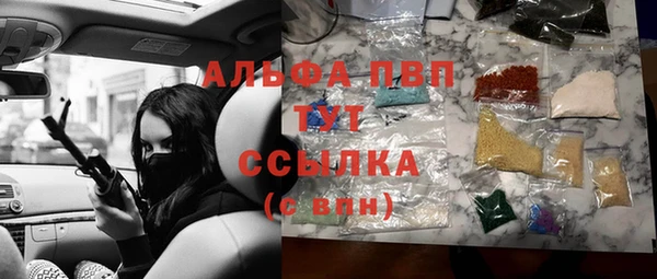 стаф Алзамай