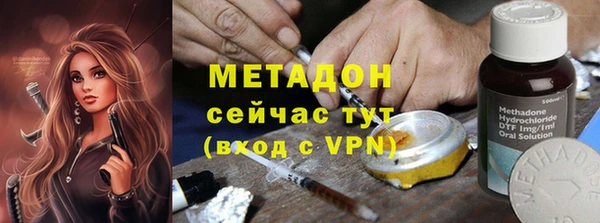 стаф Алзамай