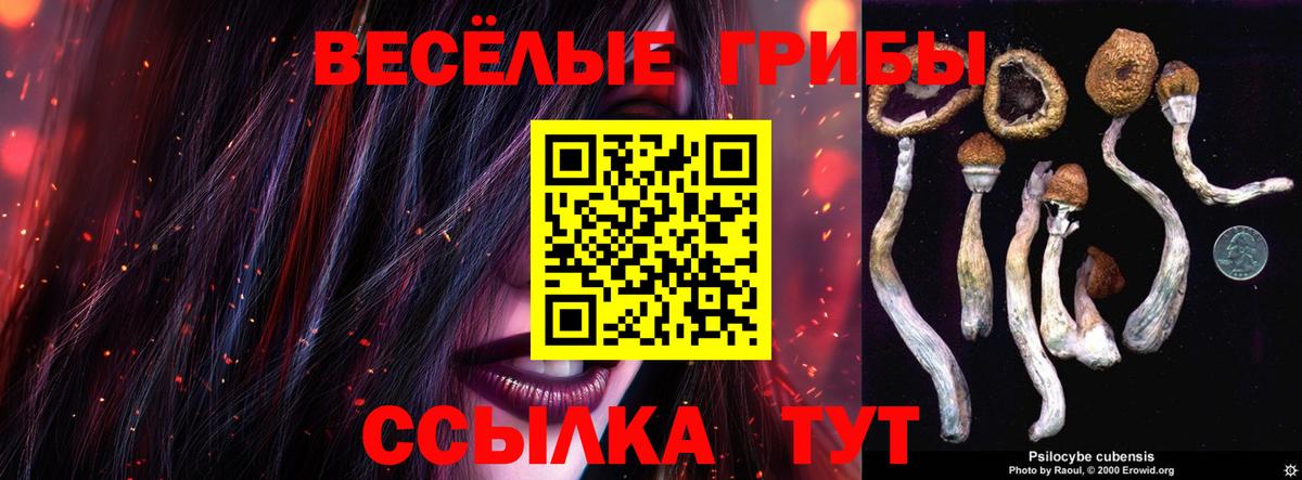Псилоцибиновые грибы прущие грибы  Вход с VPN  Бирск 